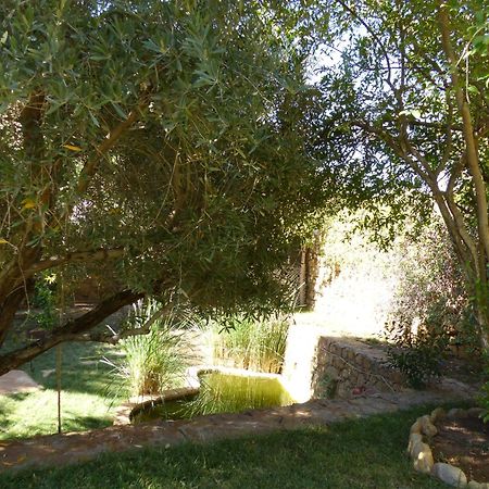 Agadir-Taghazout Magnifique Villa Dar Lina 4 Etoiles Dış mekan fotoğraf